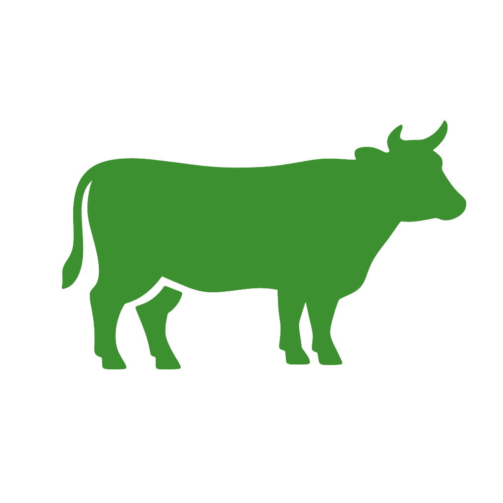Cattle Supplies