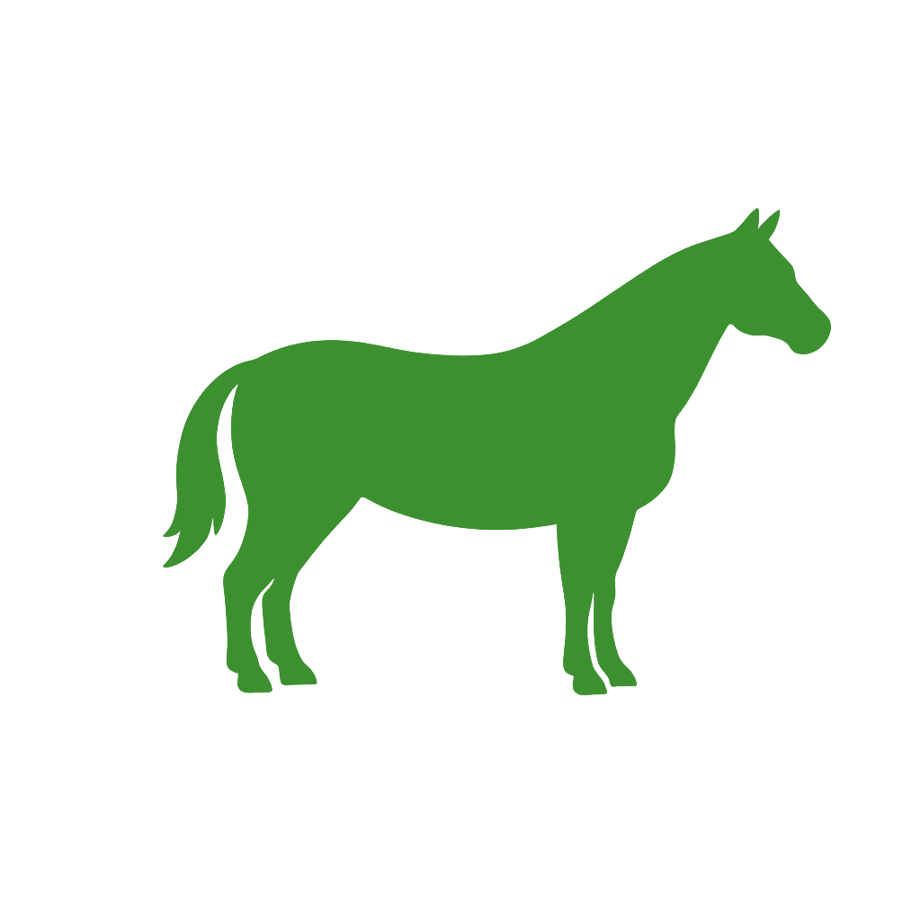 Equine Supplies
