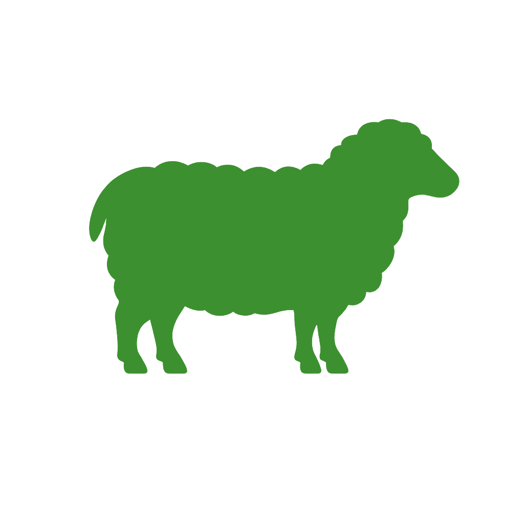 Sheep Supplies