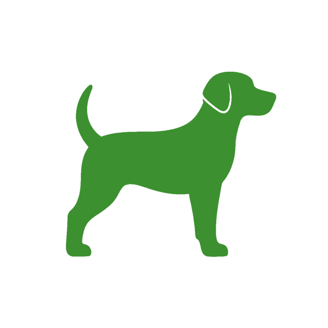 Dog Supplies
