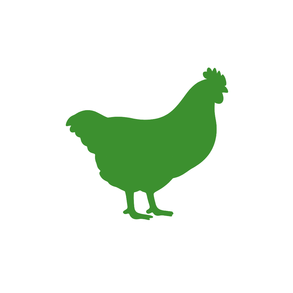Poultry Supplies
