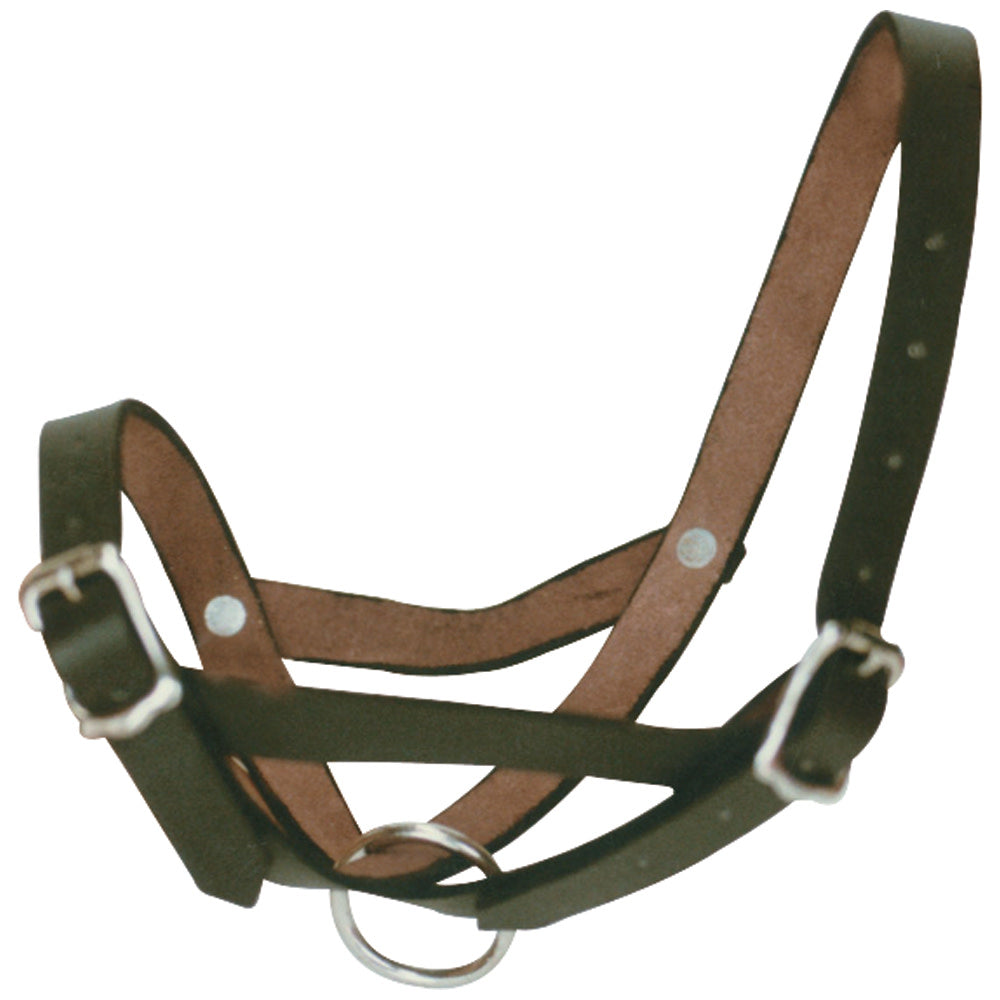 Calf Halter Leather Tethering Black
