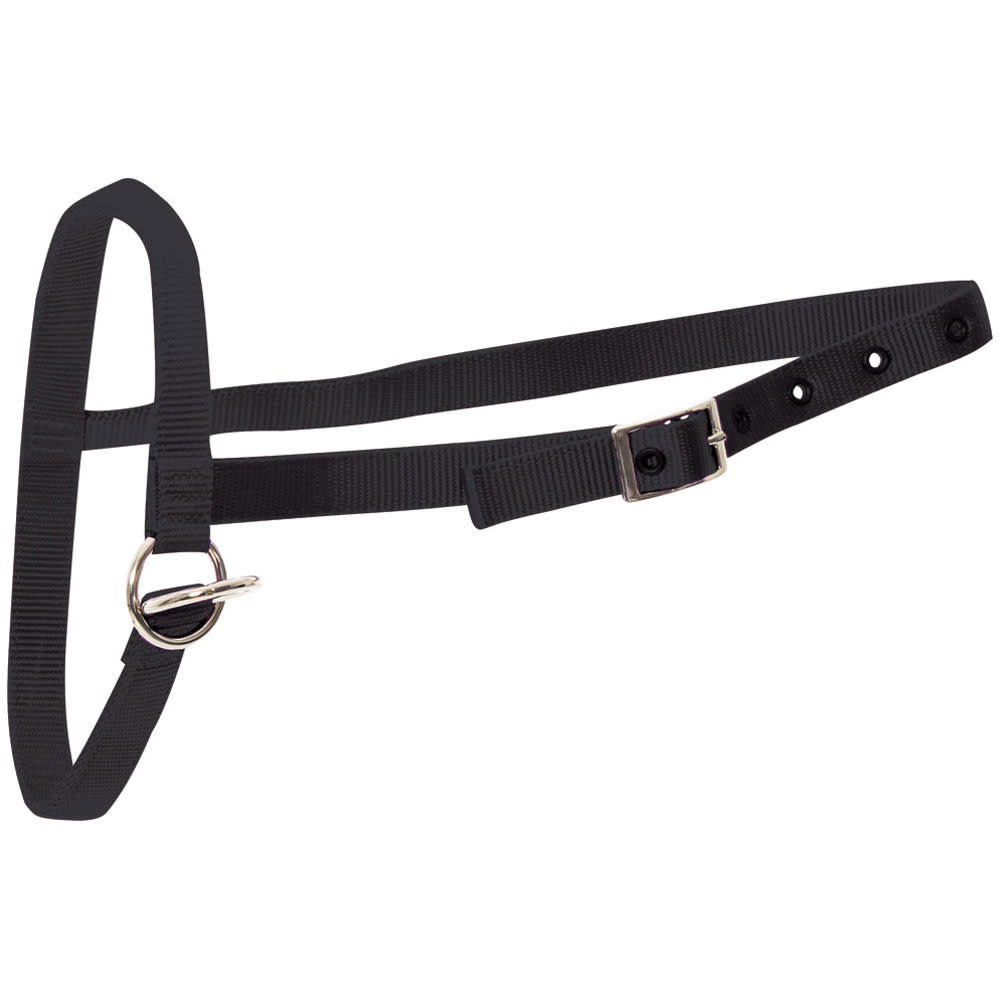 Calf Halter Nylon Leading Black