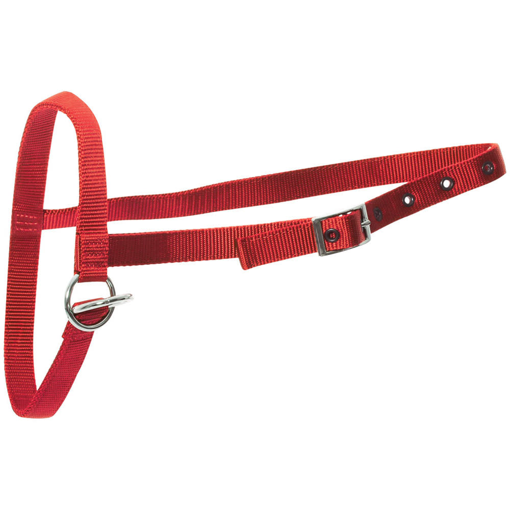 Calf Halter Nylon Leading Red