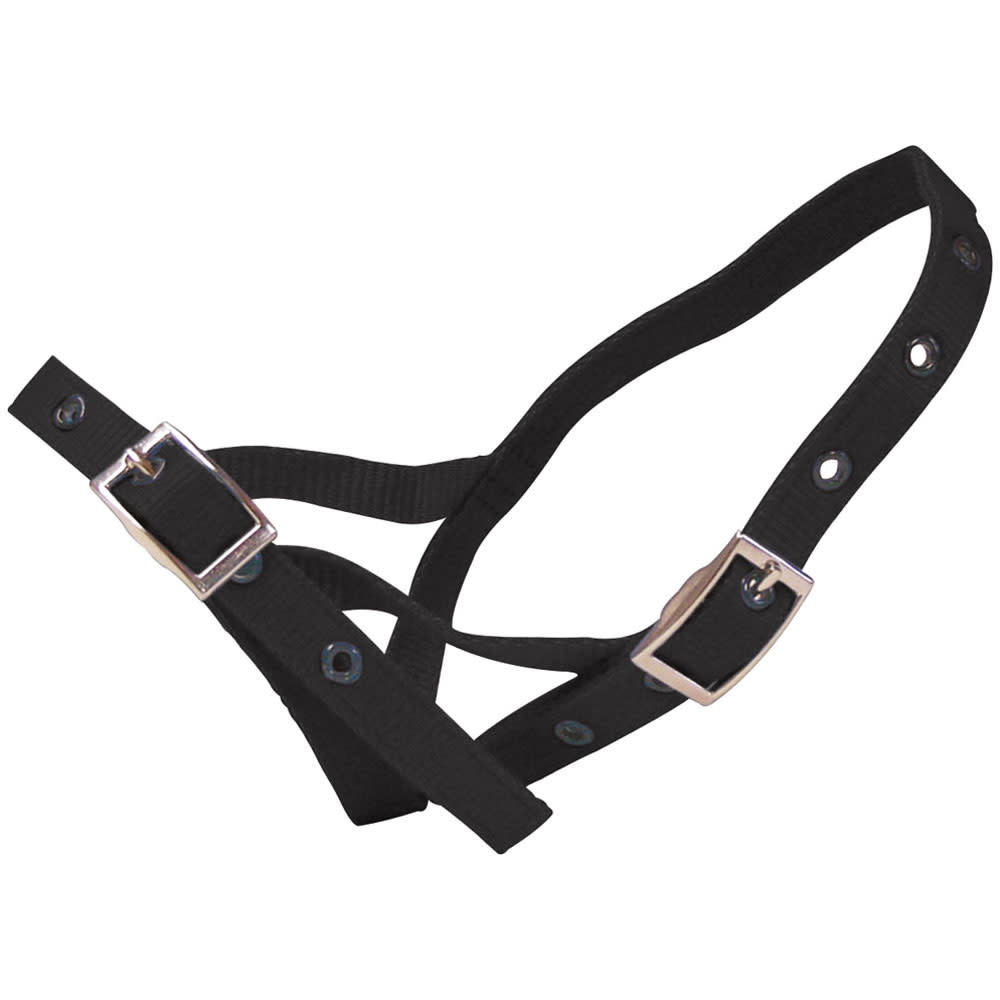 Calf Halter Nylon Tethering Black