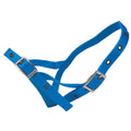 Calf Halter Nylon Tethering Blue
