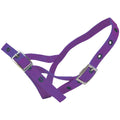 Calf Halter Nylon Tethering Purple