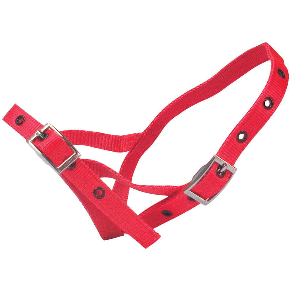 Calf Halter Nylon Tethering Red