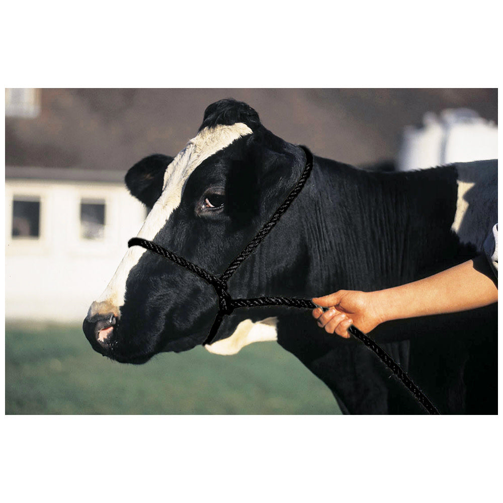 Calf Halter Poly Rope Black
