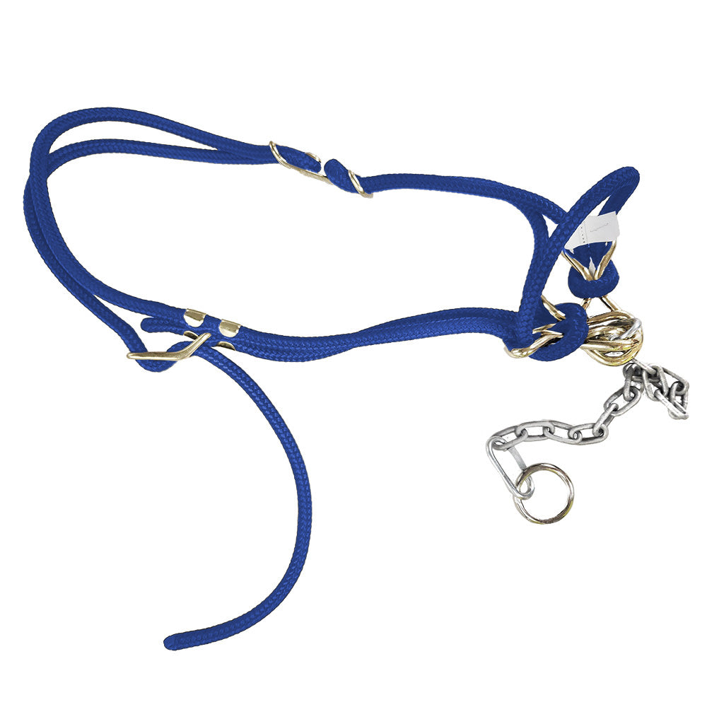 Calf Halter Hackamore Blue