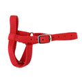 Halter Webbing Goat Medium Red