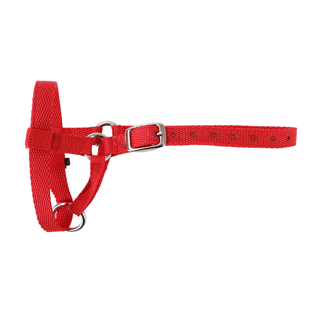 Halter Webbing Sheep Small Red