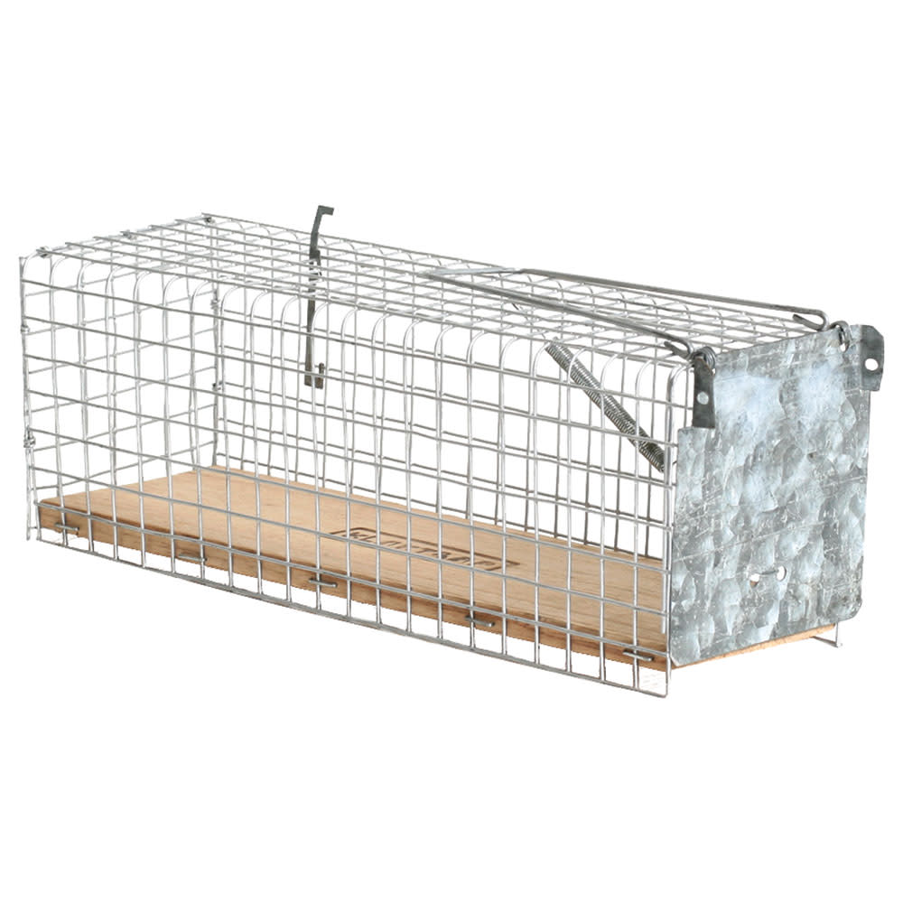 Rat Trap Cage
