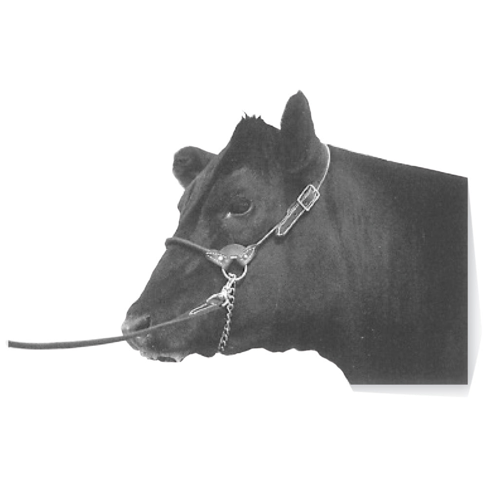 Calf Halter Leather Round Strap Black