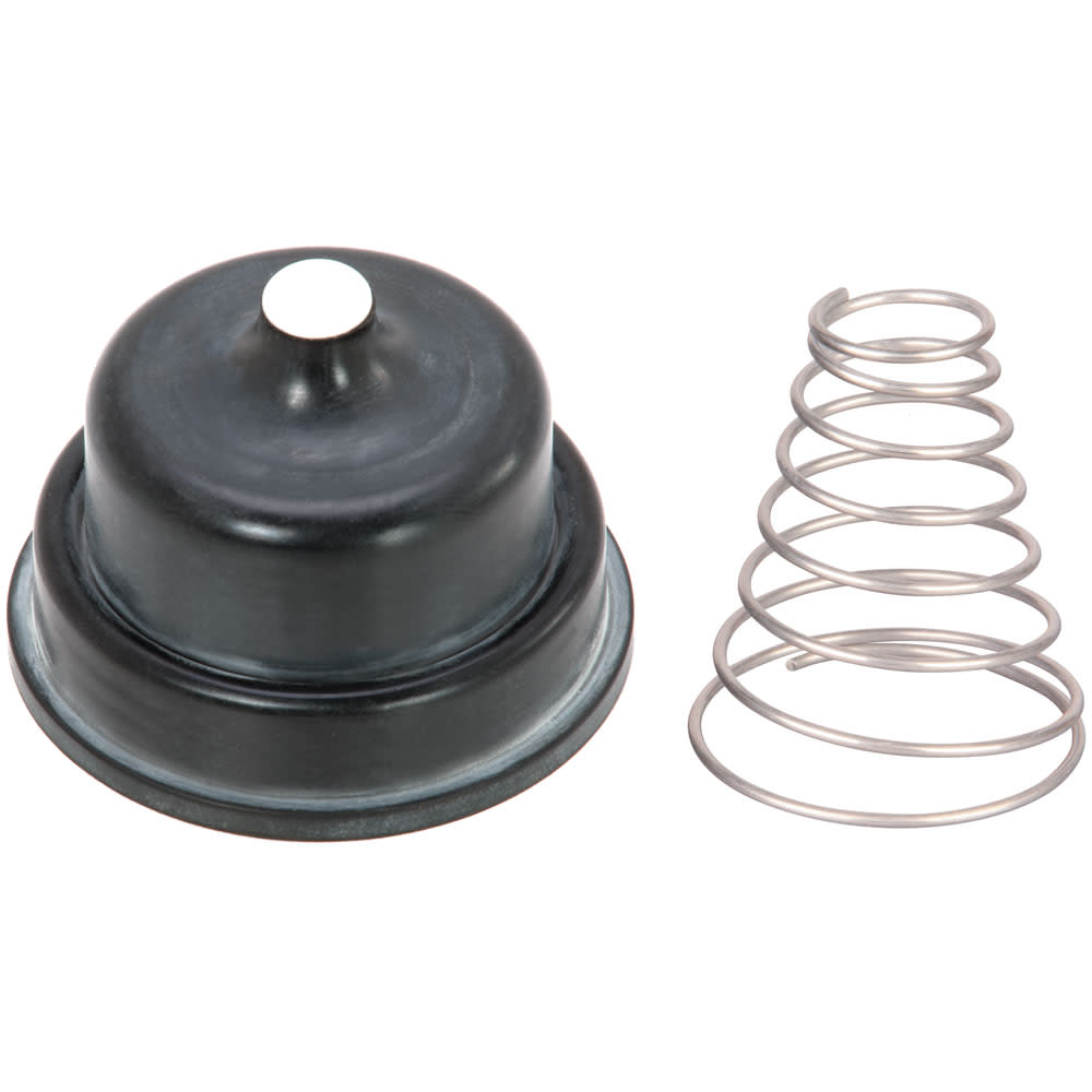 Hansen Max-Flo Repl't Spring & Diaph