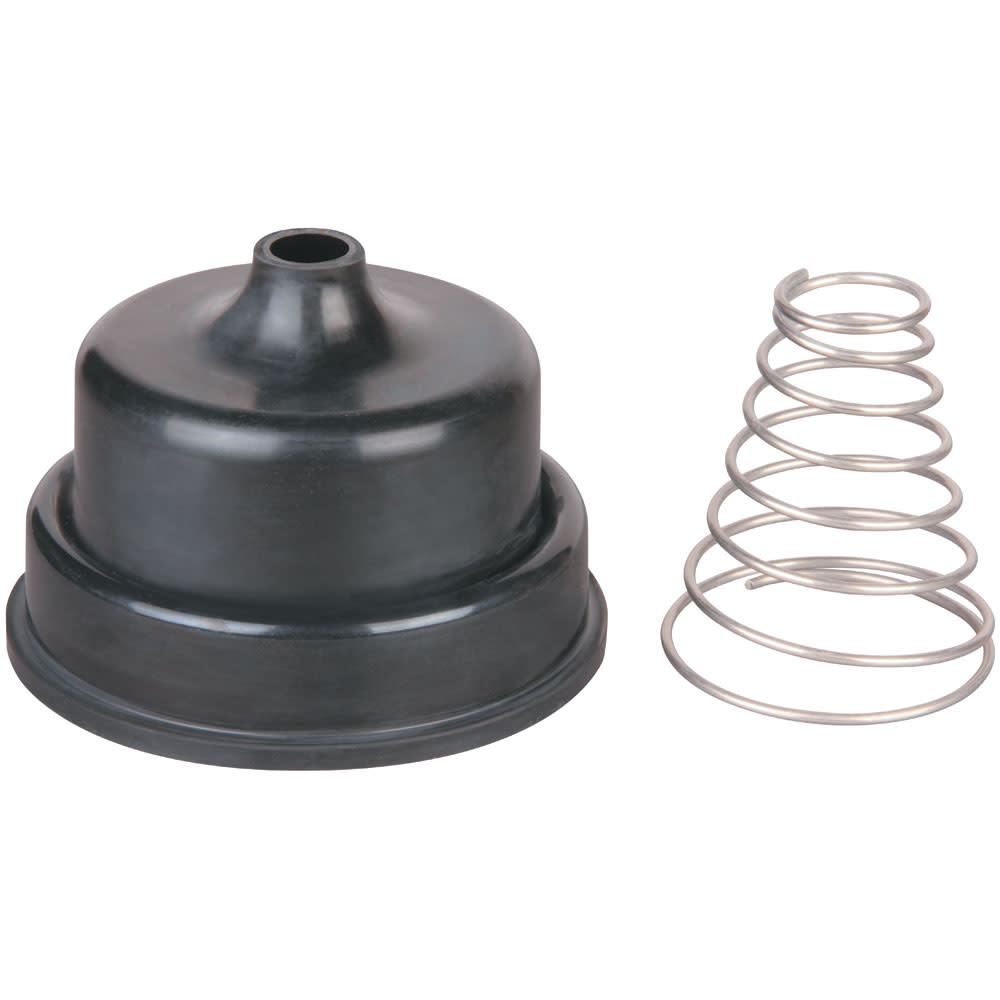 Hansen Valve Repl't Spring & Diaph 50mm