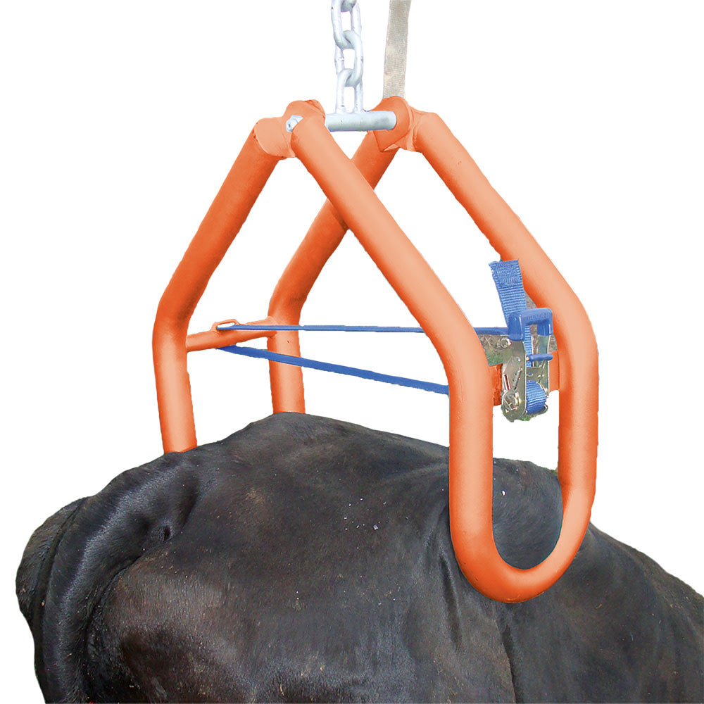 Shoof Farm Quick-Lift Cow Lifter cpt