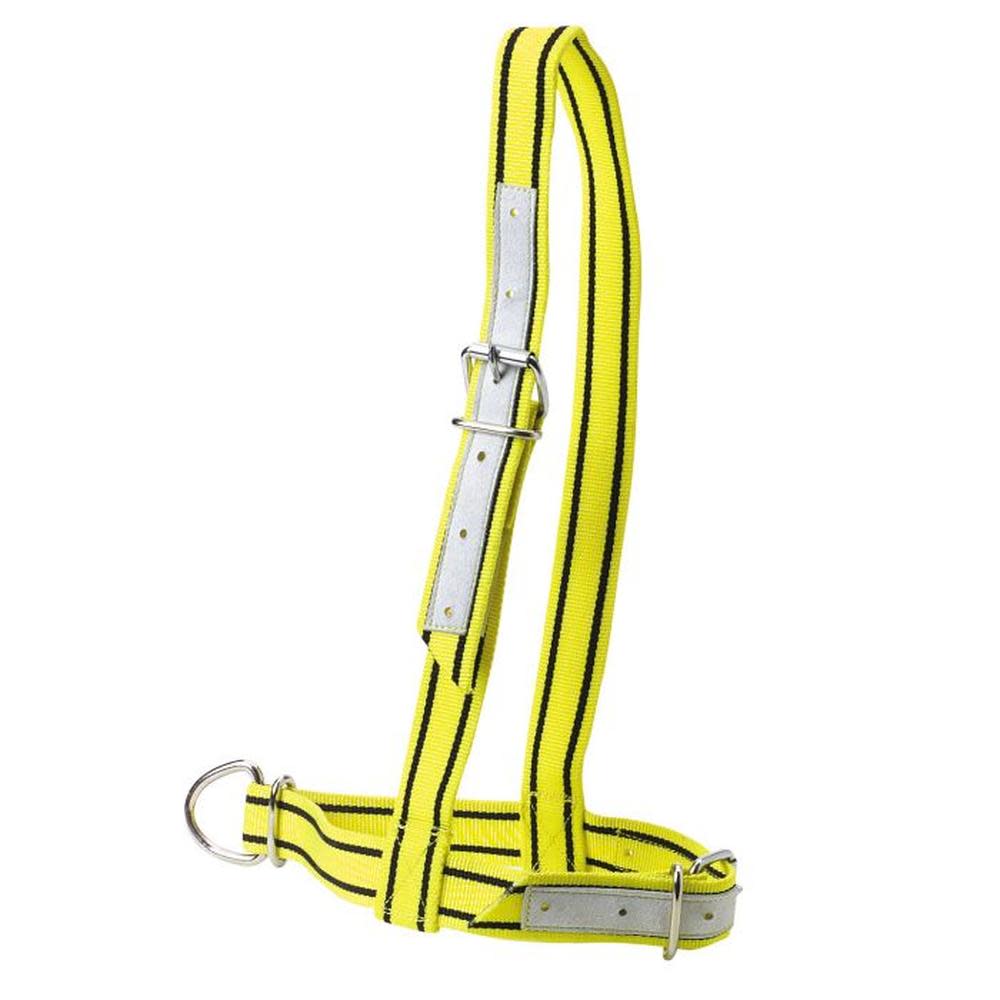 Halter Webbing Cow Yellow