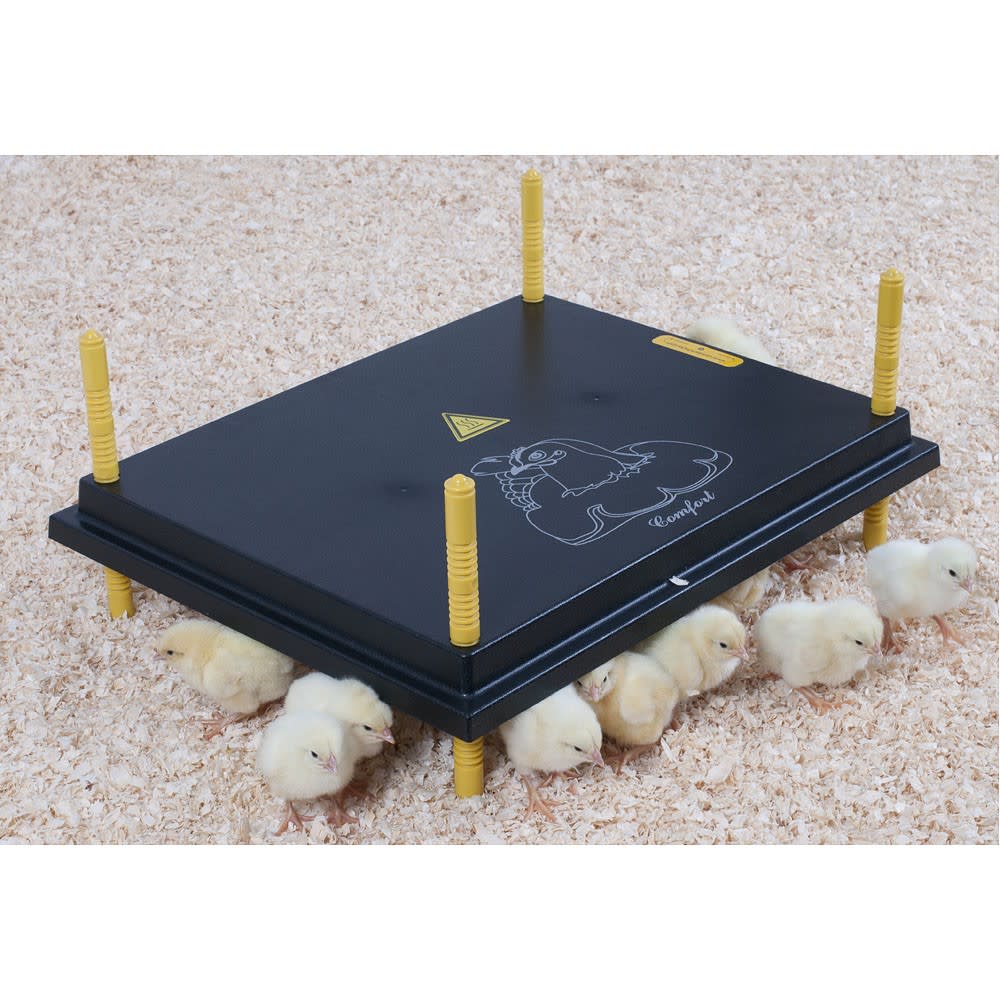 Chick Warmer 50x40cm (nil reg)