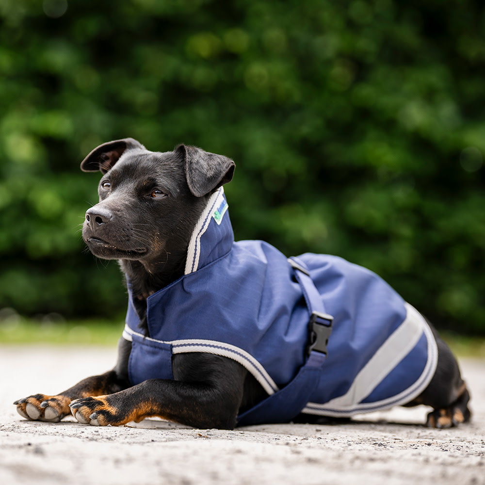 Bucas Dog Coat Freedom 50G 75cm