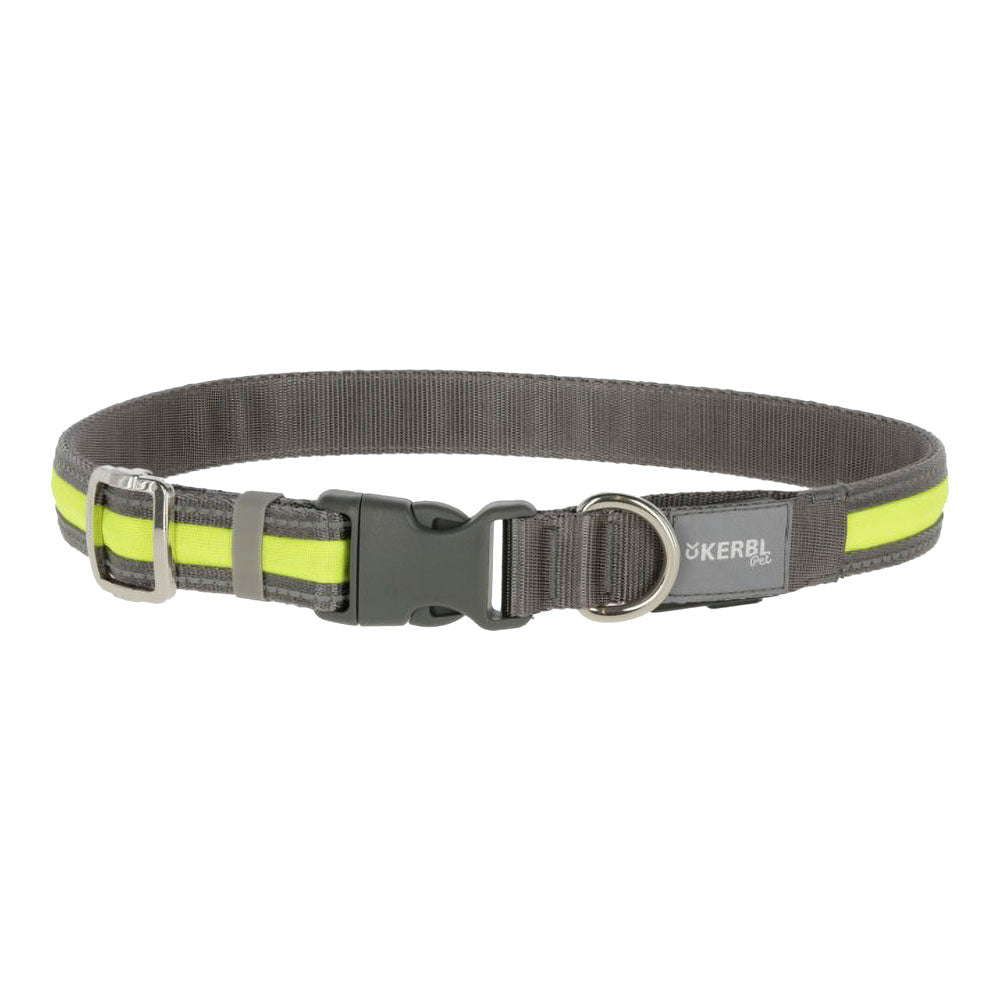 Dog Collar LED Flashing M/L 45-65cm 25mm