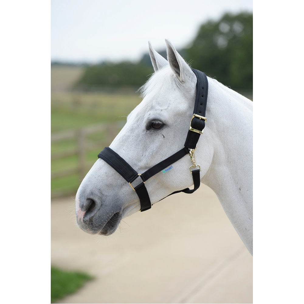 Bucas Comfort Halter X/L Black/Black