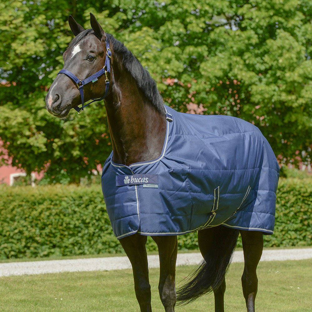 Bucas Rug Quilt 300g S/D 135cm/6'0