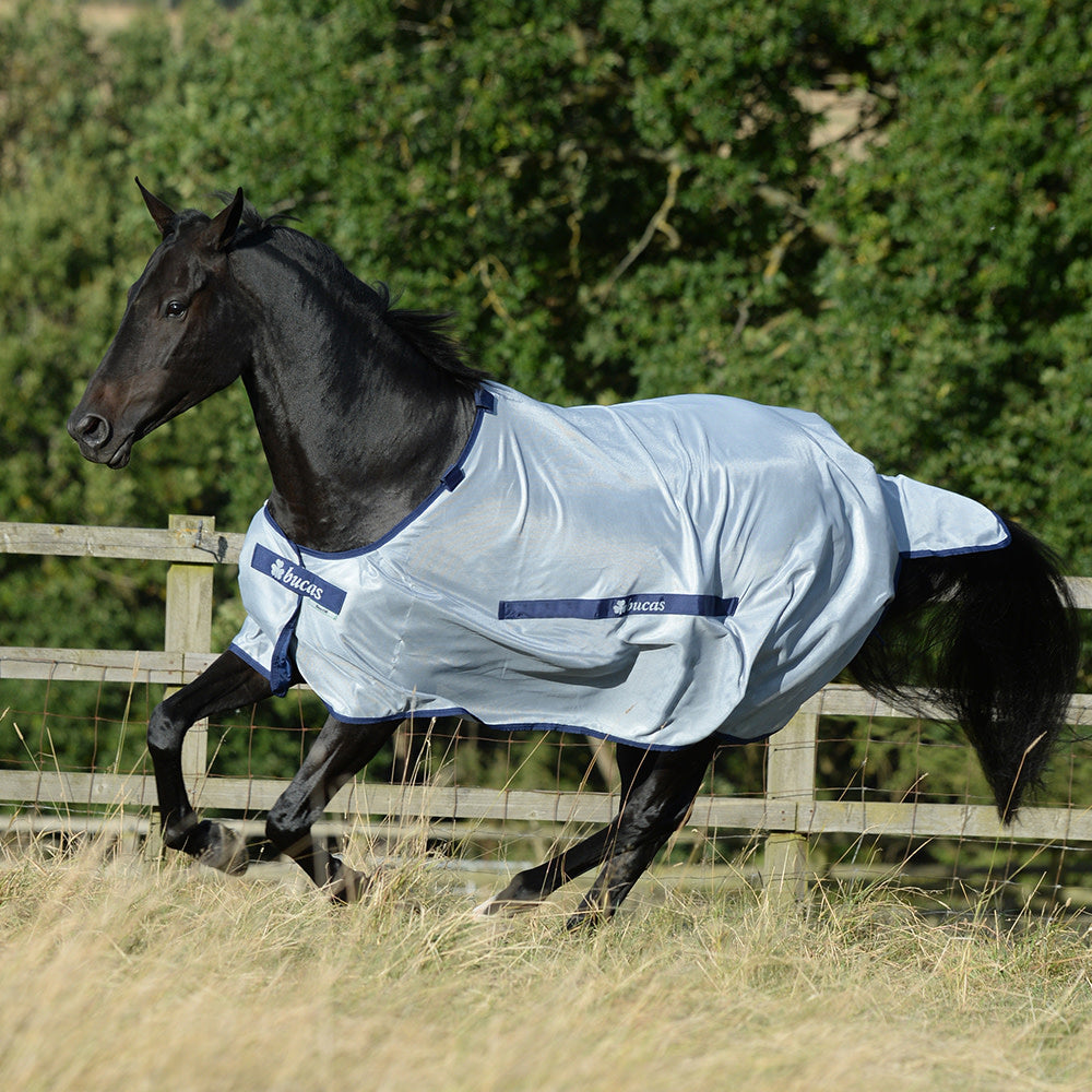 Bucas Rug BuzzOff Blue FN 170cm/7'2