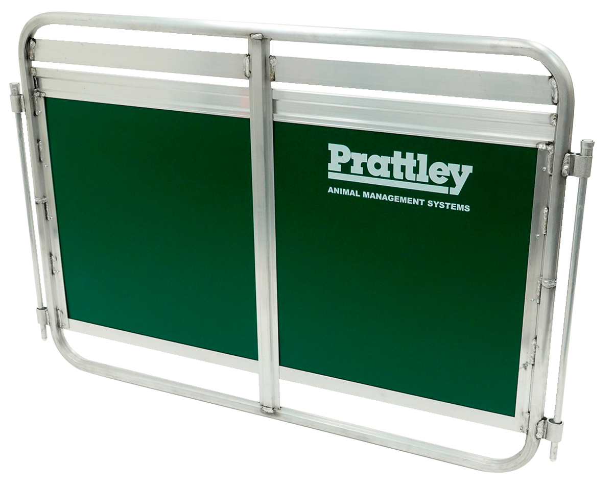 PANEL FILLED 4'X36" C/W 2 PINS PRATTLEY #S25400