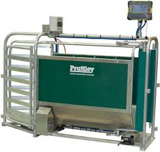 Prattley 2-way Electric Fully Automatic Sheep Drafter 2207mm x 700mm - 97kg
